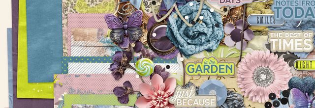 Collected Curiosities Kit #15