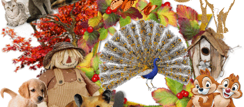 L AUTOMNE ARRIVE