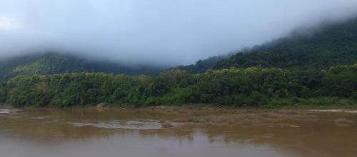 J10, Randonnée dans les rizières, Muang Ngoi, Laos