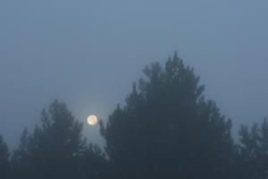 Pleine Lune dans le brouillard