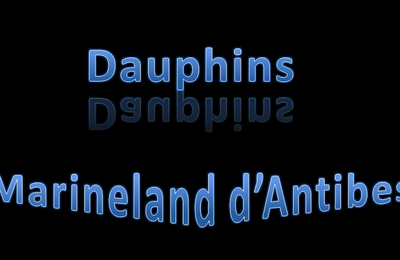 Dauphins