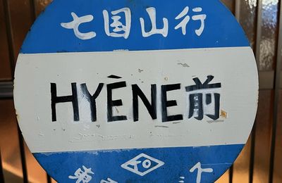 Hyene