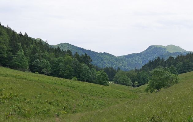 Le 27 juin : du col de la Biche à Arvières - 1