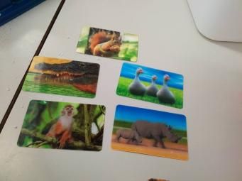 *Jeu sensoriel: les cartes holographiques 3D