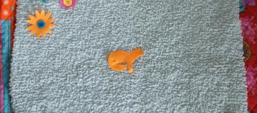 La couverture du petit renard