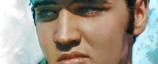 photo elvis artistique