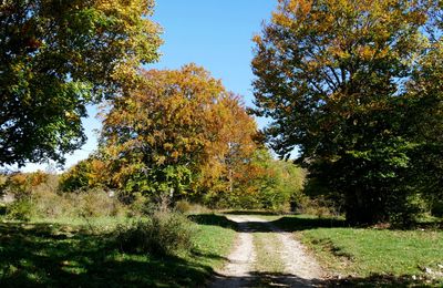 Le 11 octobre 2025 : Quelle belle journée !