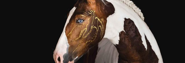 Quelle intelligence pour les animaux ? 