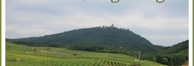 LE CHÂTEAU DU HAUT-KŒNIGSBOURG  