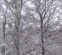 Météo : Épisode neigeux, vigilance orange !