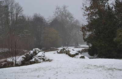 Rambouillet sous la neige (22 janvier 2019) (suite)