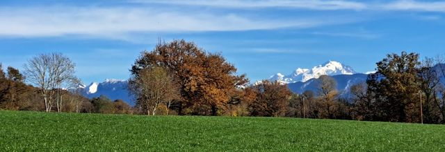 Compte-rendu petite randonnée 4 novembre 2025: Boucle Collonges – Chaumont en passant par le plateau des Daines