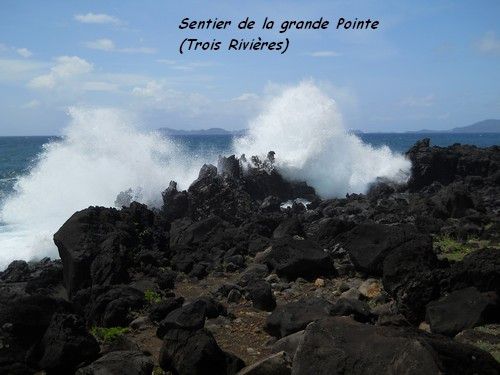 vacances Guadeloupe 2011 (2)
