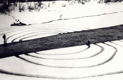 DENNIS OPPENHEIM