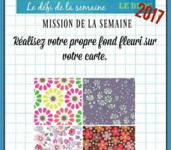 Passion Cartes Créatives#489 !