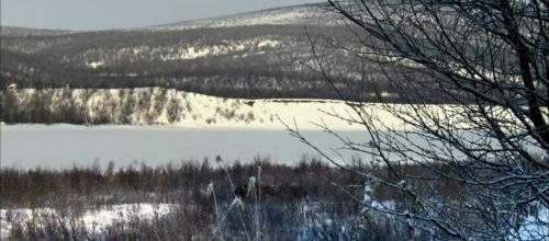 ¨Wild Sweden¨ Look In My Eyes¨