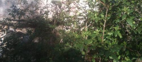 Baignoire naturelle sous roche Montaiguet
