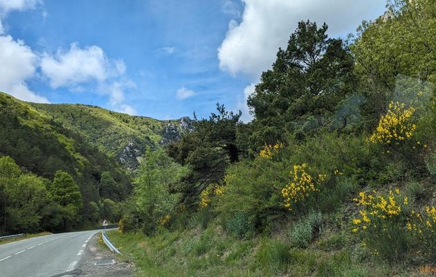 Site de la Pierre Lys
