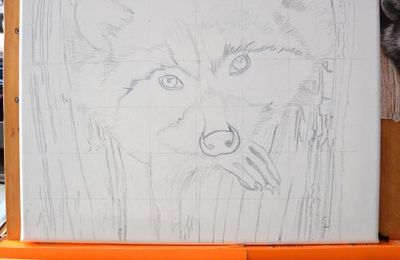 Raton laveur à l'acrylique