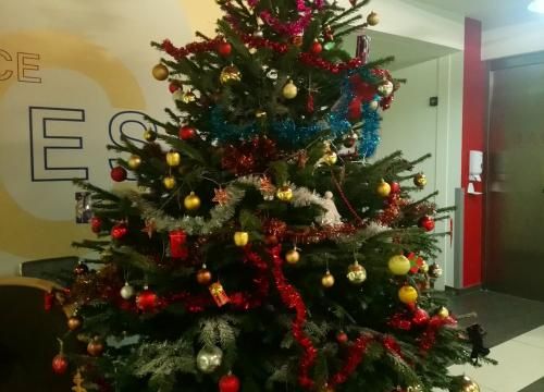 Noël à gogo - Décoration DIY