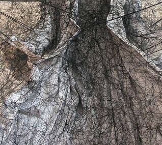 Chiharu Shiota   vs   Anselme Kieffer