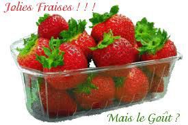 Fraises espagnoles & scandale écologique