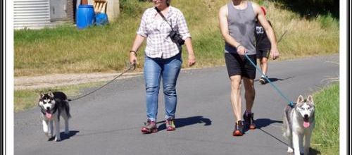 Balade avec les copains (8 juillet 2018)