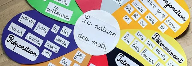 Idée pinterest : la fleur des natures de mots