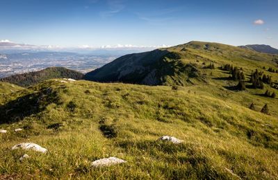 Entre montagne et forêt