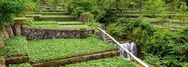 Dans le viseur de Julia ... 