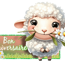anniversaire, bon joyeux anniversaire
