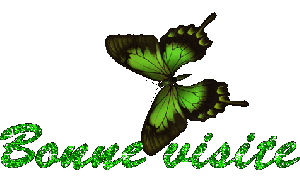 LA SIGNIFICATION DES COULEURS - LE VERT