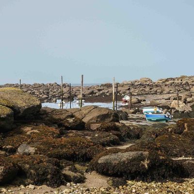 29 ... (et plus) : Du côté de Porspoder ou la vie au grand air (2)