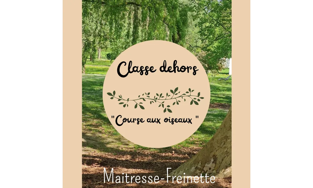Classe dehors : les oiseaux 