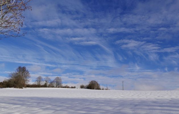Le 13 décembre 2020 : Promenade de Mira