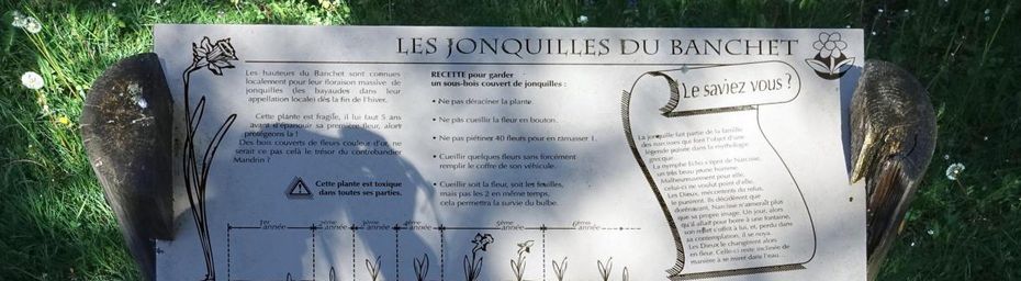 Le circuit des jonquilles au col du Banchet