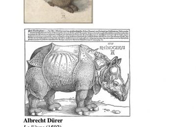 Dürer, les animaux et les textures