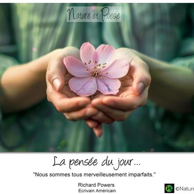 La pensée du jour (223)