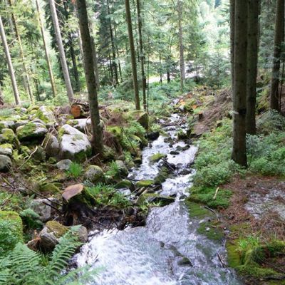 RANDONNEE CASCADE DE MERELLE ET DE CHANONY (Vosges - 88)