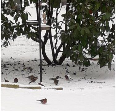 Jour de neige