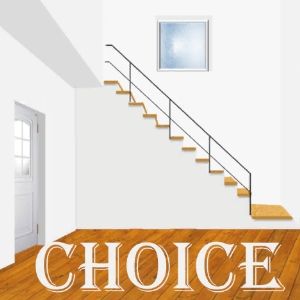 Rinnogogo - Choice