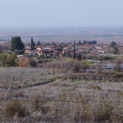 VERGINA...