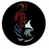 Signes du Zodiaque - Capricorne !