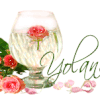 Nouvelle signature animée "verre" 