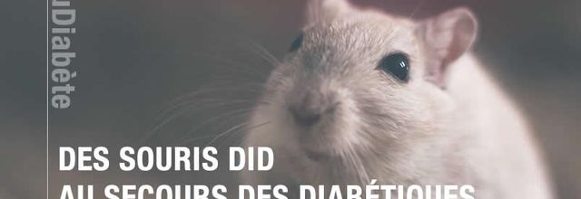 Un patch pour diabétique évitant les injections d’insuline