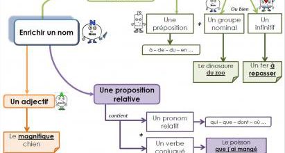 Tri d'expansions du nom - Livres de la bibliothèque