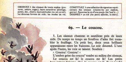 Dumas CM-CS S25 Les oiseaux