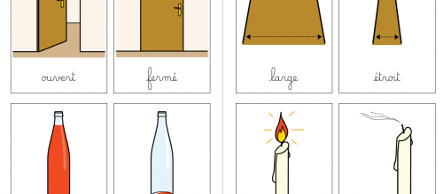 Les contraires : nomenclatures et images
