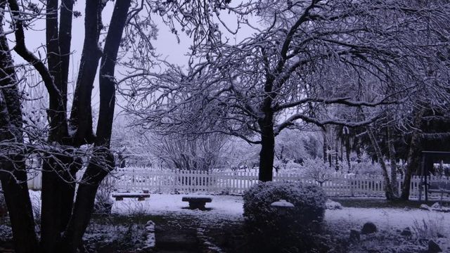 La Magie de l'Hiver