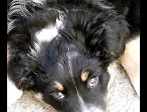 Mais qu'est ce qu'elle me veut avec son truc noir qui fait du bruit quand elle appuie dessus ? 